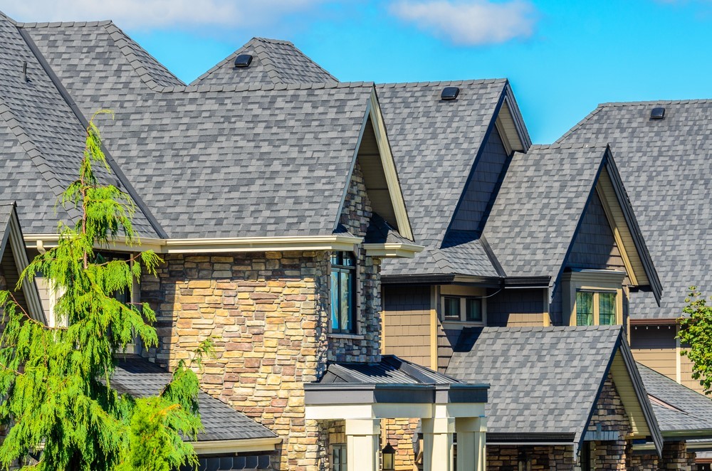 Multi-Family Roof
