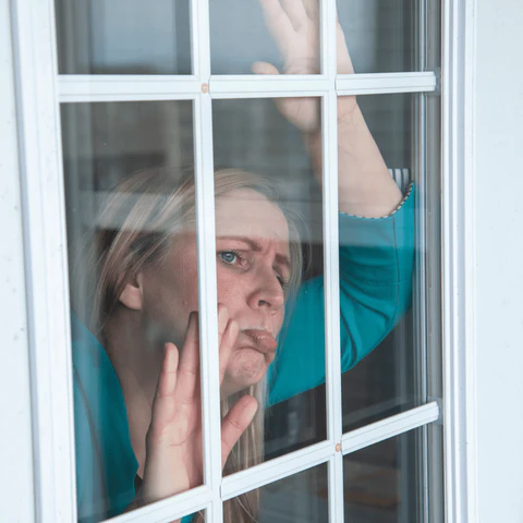 Window Repair Services